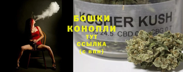 соль ск Верея