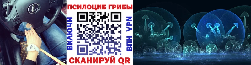 Псилоцибиновые грибы Psilocybine cubensis  сайты даркнета как зайти  Щучье 